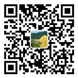 彩神永久登录入口